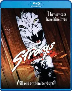 Диск Blu-ray Strays [1991]