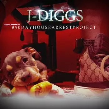 Диск CD #90dayhousearrestproject - J-Diggs