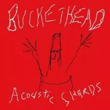 Диск CD Acoustic Shards - Buckethead