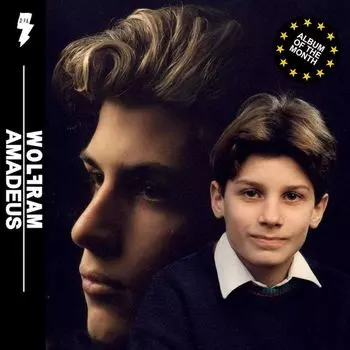 Диск CD Amadeus - Wolfram