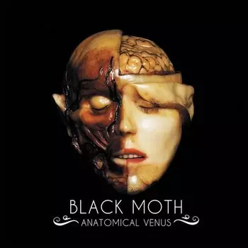 Диск CD Anatomical Venus - Black Moth