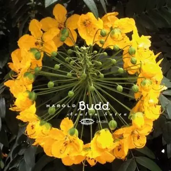 Диск CD Avalon Sutra - Harold Budd