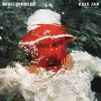 Диск CD Bewilderment - Pale Jay