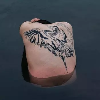 Диск CD Blue Heron - Jodi