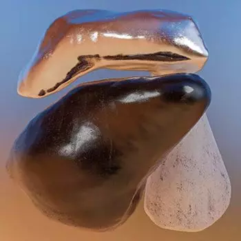 Диск CD Chemical Flowers - Helm