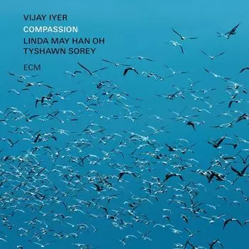 Диск CD Compassion - Vijay Iyer