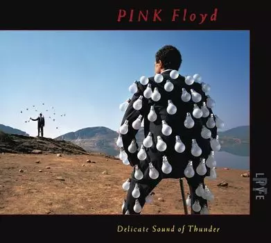 Диск CD Delicate Sound Of Thunder - Pink Floyd
