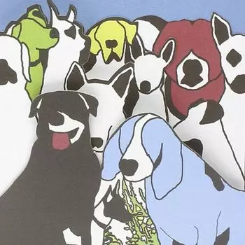 Диск CD Dog Problems - The Format