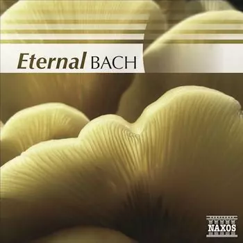 Диск CD Eternal Bach - J.S. Bach