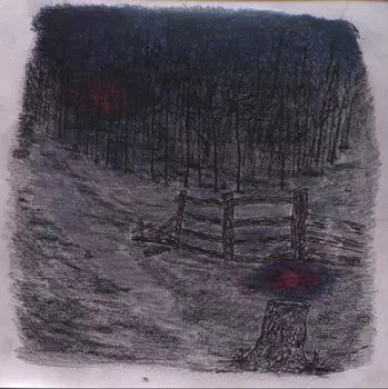 Диск CD Farewell Forest - Telepathe