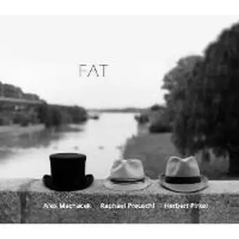 Диск CD Fat - Alex Machacek