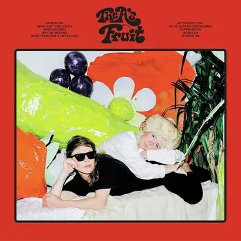 Диск CD Fruit - The A’s