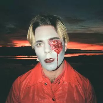 Диск CD Gathering Swans - Choir Boy