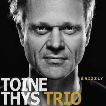 Диск CD Grizzly - Toine Thys