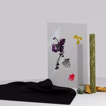 Диск CD Heba - Lowly