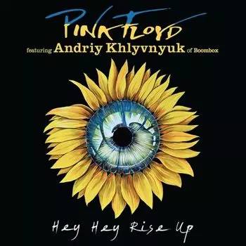 Диск CD Hey Hey Rise Up / A Great Day For Freedom 2022 - Pink Floyd, Andriy Khlyvnyuk