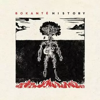 Диск CD History - Bokant