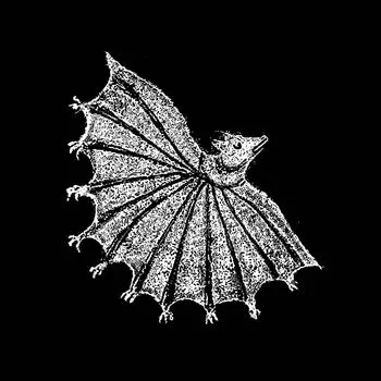 Диск CD Ignore Grief - Xiu Xiu