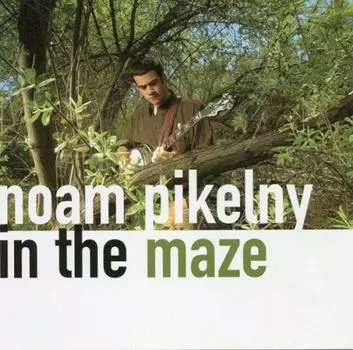 Диск CD In The Maze - Noam Pikelny