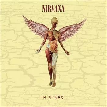 Диск CD In Utero [30th Anniversary Super Deluxe Edition Box Set] - Nirvana