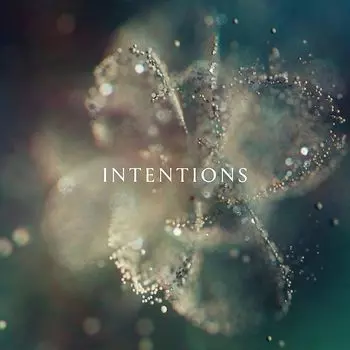 Диск CD Intentions - ANNA