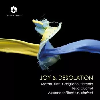 Диск CD Joy & Desolation