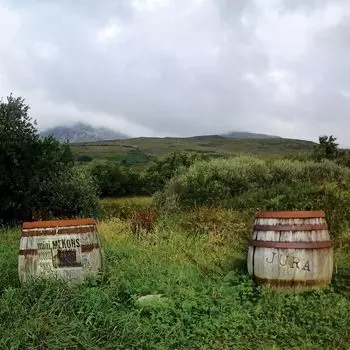 Диск CD Jura - The Mekons, Robbie Fulks