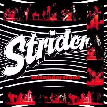 Диск CD Misunderstood [Expanded Edition] - Strider