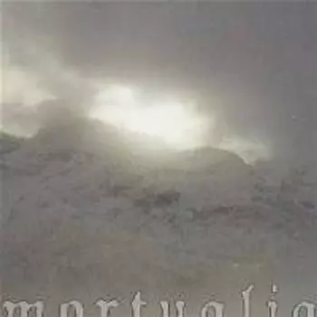Диск CD Mortualia - Mortualia