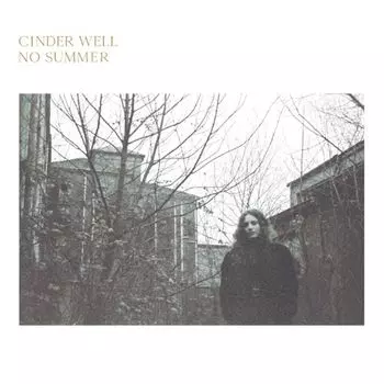 Диск CD No Summer