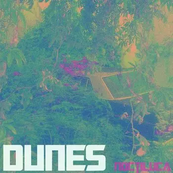 Диск CD Noctiluca - Dunes