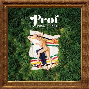 Диск CD Pookie Baby - Prof