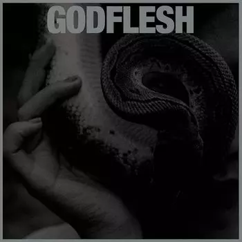 Диск CD Purge - Godflesh