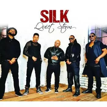 Диск CD Quiet Storm - Silk