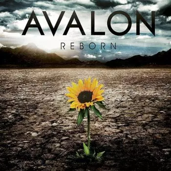 Диск CD Reborn - Avalon