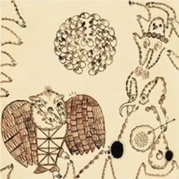 Диск CD Rejoicing In The Hands - Devendra Banhart