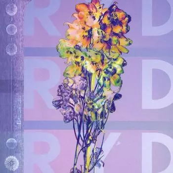 Диск CD RYD - RYD
