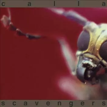 Диск CD Scavengers - Calla