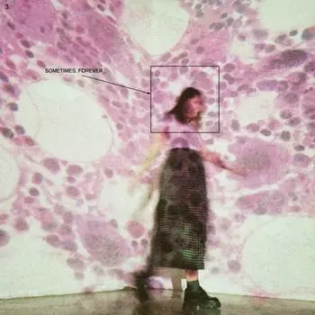 Диск CD Sometimes, Forever - Soccer Mommy