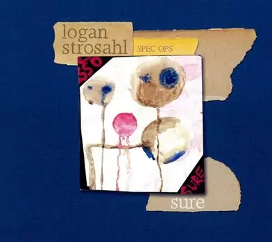 Диск CD Sure - Logan Strosahl