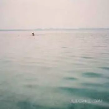 Диск CD Swim - Blue Cranes