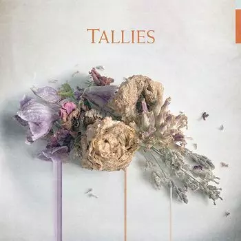 Диск CD Tallies - Tallies
