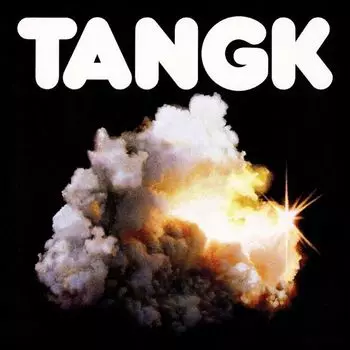 Диск CD TANGK - IDLES