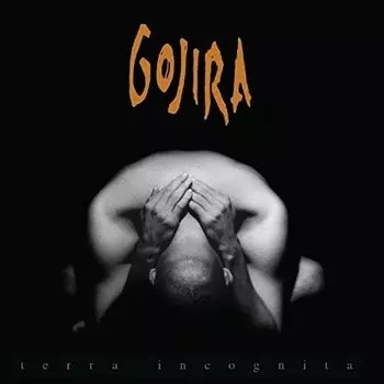 Диск CD Terra Incognita - Gojira