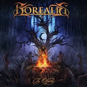 Диск CD The Offering - Borealis