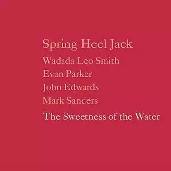 Диск CD The Sweetness Of The Water - Spring Heel Jack