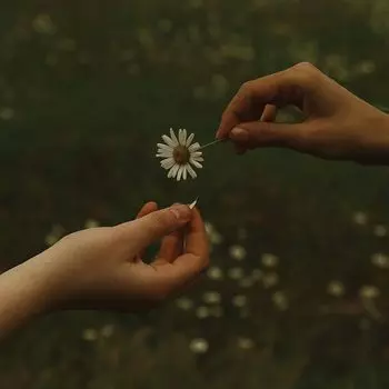 Диск CD Time It Takes - Goldmund