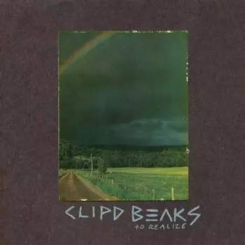 Диск CD To Realize - Clipd Beaks
