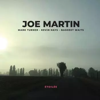 Диск CD toile - Joe Martin