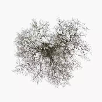 Диск CD Tree - John Metcalfe